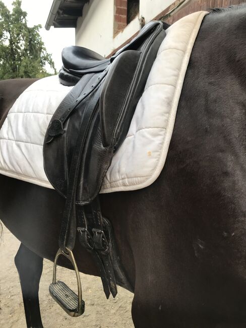 Pariani Monoblatt Dressursattel, Pariani , Karina Wulf, Dressage Saddle, Adelebsen, Image 6