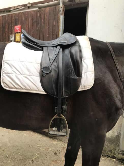 Pariani Monoblatt Dressursattel, Pariani , Karina Wulf, Dressage Saddle, Adelebsen, Image 9