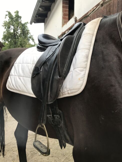 Pariani Monoblatt Dressursattel, Pariani , Karina Wulf, Dressage Saddle, Adelebsen, Image 5