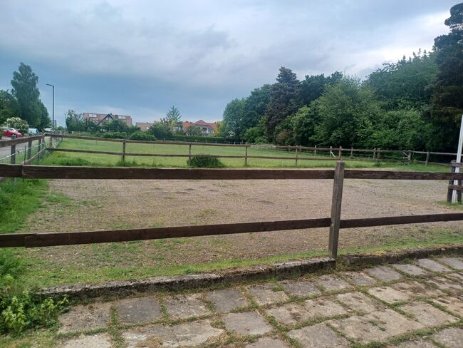 Einstellplatz frei,  24/7 Koppel - Offenstall, Anita, Horse Stables, Alsfeld