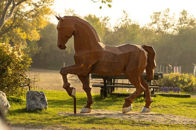 Einstellplatz in Wien- Paddockbox mit XXL Paddock, ReitClubDonaustadt (ReitclubDonaustadt), Horse Stables, Wien, Image 14