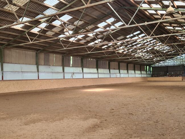 Einstellplatz in Wien- Paddockbox mit XXL Paddock, ReitClubDonaustadt (ReitclubDonaustadt), Horse Stables, Wien, Image 6