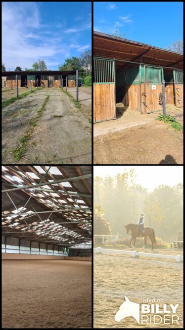 Einstellplatz in Wien- Paddockbox mit XXL Paddock, ReitClubDonaustadt (ReitclubDonaustadt), Horse Stables, Wien, Image 21