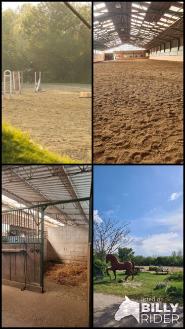 Einstellplatz in Wien - XXL Innenbox, ReitClubDonaustadt (ReitclubDonaustadt), Horse Stables, Wien, Image 18