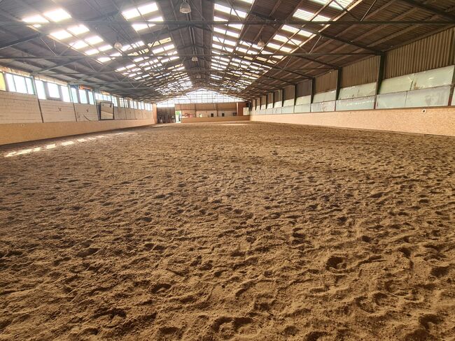 Einstellplätze in Wien- Paddockbox inkl. angeschlossener Privatkoppel und Freilauf, ReitClubDonaustadt (ReitclubDonaustadt), Horse Stables, Wien, Image 10