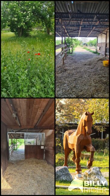 Einstellplätze in Wien- Paddockbox inkl. angeschlossener Privatkoppel und Freilauf, ReitClubDonaustadt (ReitclubDonaustadt), Horse Stables, Wien, Image 19