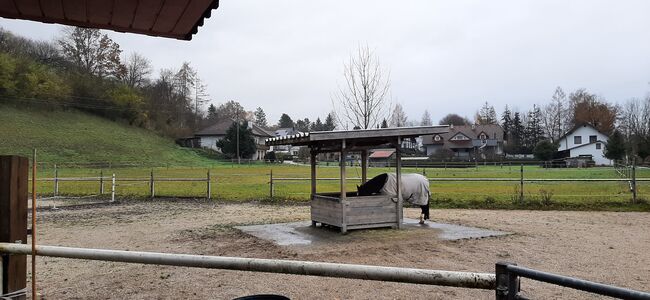 Einstellplatz 4652 Fischlham oö, Priska Reiter , Horse Stables, Fischlham , Image 3