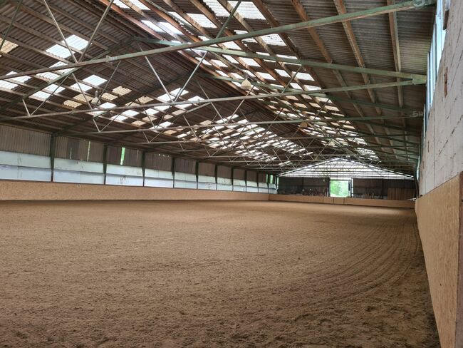 Einstellplatz in Wien- Paddockbox mit XXL Paddock, ReitClubDonaustadt (ReitclubDonaustadt), Horse Stables, Wien, Image 19