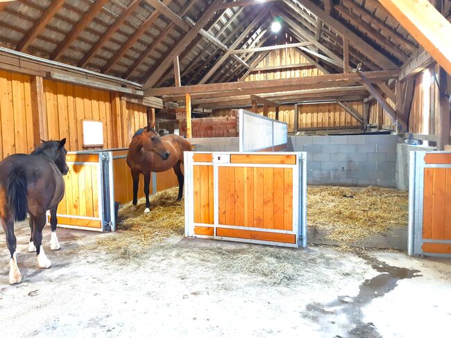 Einstellplatz auf meinem privaten Vierkanthof im Waldviertel, Romana, Horse Stables, Waldenstein