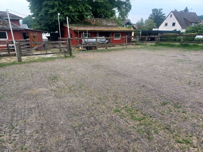 Einstellplatz frei,  24/7 Koppel - Offenstall, Anita, Horse Stables, Alsfeld, Image 2