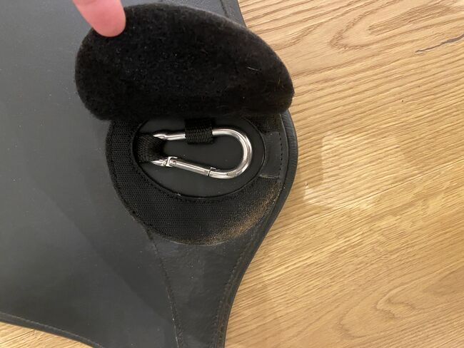Stollengurt Passierblu 145cm, Passier Passierblu, Sophie, Popręgi, Kranzberg , Image 6