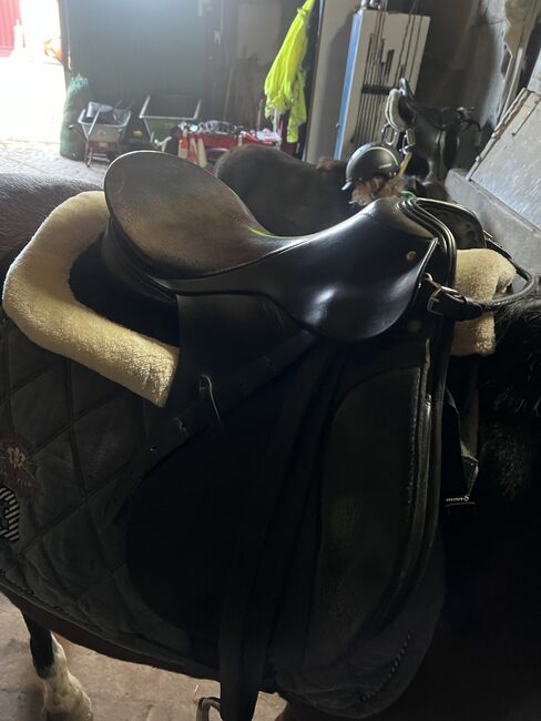 Passier 16 Zoll Sattel sehr guter zustand, Passier, Jacqueline, All Purpose Saddle, Bielefeld , Image 2