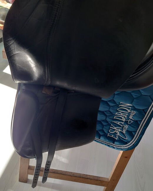 Passier A Tempi Dressursattel, 17", Passier A Tempi, Janina Beilfuß, Dressage Saddle, Ahrensbök, Image 11