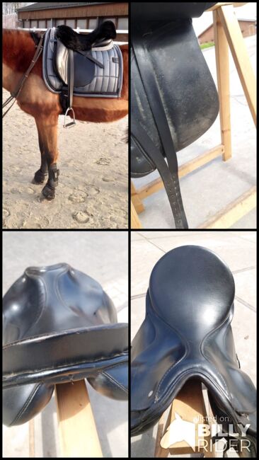 Passier A Tempi Dressursattel, 17", Passier A Tempi, Janina Beilfuß, Dressage Saddle, Ahrensbök, Image 16