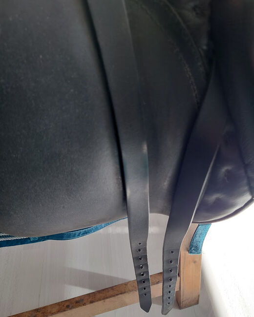 Passier A Tempi Dressursattel, 17", Passier A Tempi, Janina Beilfuß, Dressage Saddle, Ahrensbök, Image 10