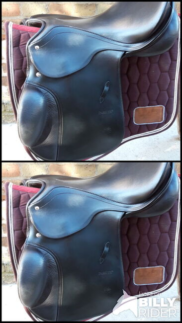 Passier Avior Springsattel 17,5Zoll, Passier  Passier Avior, Jule, Jumping Saddle, Viereck , Image 3