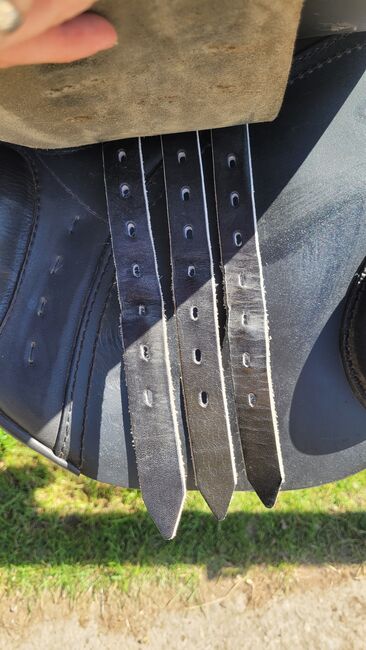 Passier Aviro, Passier  Aviro , Corinna , Jumping Saddle, Spittal/Drau, Image 3