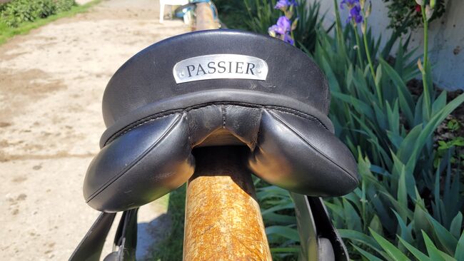 Passier Aviro, Passier  Aviro , Corinna , Springsattel, Spittal/Drau, Abbildung 6