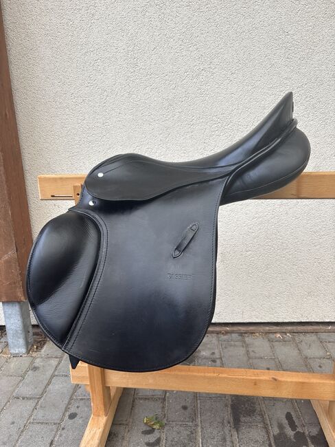 Passier Avoir Springsattel 16,5 Zoll, Passier Avoir Springsattel , Lanea Rohlfing , Springsattel, Barmstedt , Abbildung 12