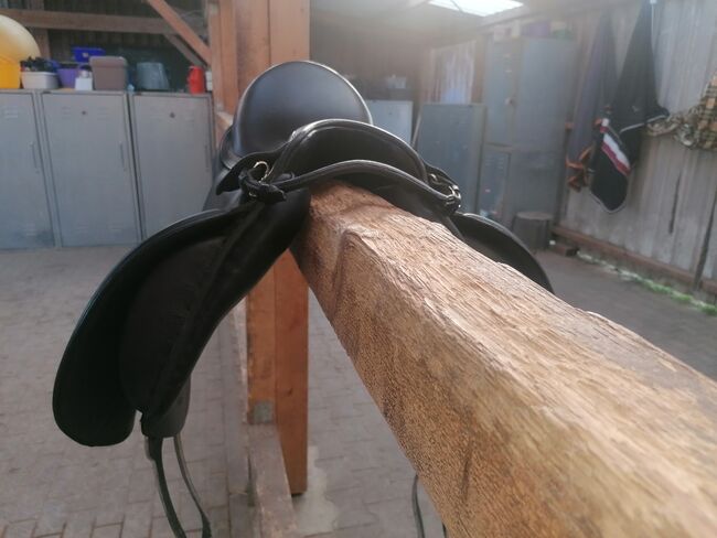 Passier compact comfort Größe 1, 16,5 Zoll, Passier  Compact comfort , Mireen Friedrich-Rust, Dressage Saddle, Frankfurt, Image 4