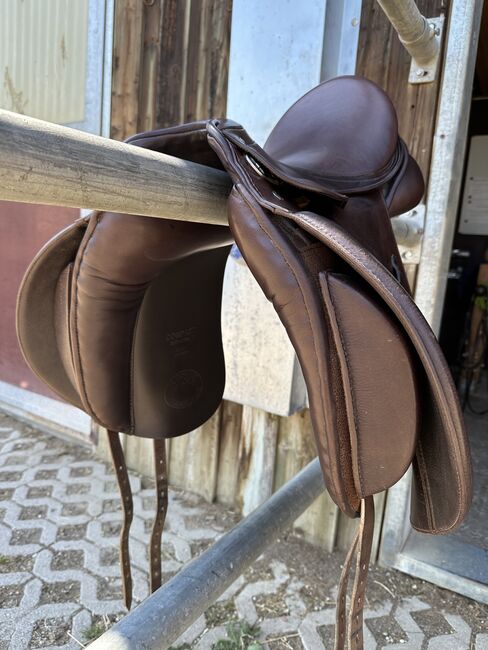 Passier Compact mit PS Sattelbaum, Passier Compact, Saskia Hofmann, Dressage Saddle, Geisenhausen, Image 5