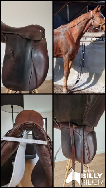 Passier Dressursattel Grand Gilbert 17 Zoll braun (havanna), Passier Grand Gilbert, Jessica, Dressage Saddle, Aufenau, Image 11