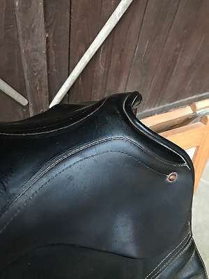 Passier Dressursattel, Passier , Laura, Dressage Saddle, Eberstalzell, Image 8