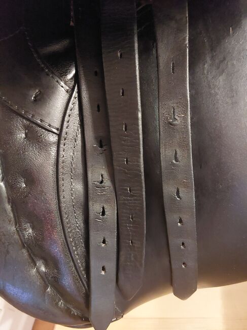 Passier Dressursattel, Passier, Gianna-Cina Schäfer , Dressage Saddle, Losheim am See, Image 5