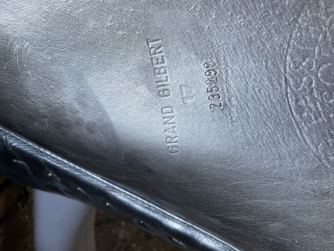 Passier Dressursattel, Passier Grand Gilbert , Maren Holtwick, Dressage Saddle, Bocholt, Image 13