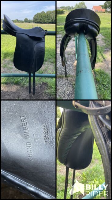 Passier Dressursattel, Passier Grand Gilbert , Maren Holtwick, Dressage Saddle, Bocholt, Image 15