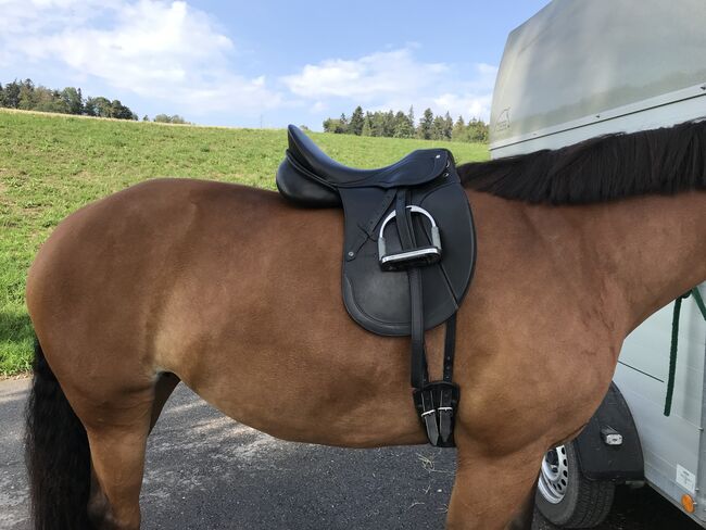 Passier Dressursattel „losgelassen“ 17,5“ 32cm, Passier Losgelassen by Anne Schmatelka, Maribel Lachat, Dressage Saddle, Küttigen