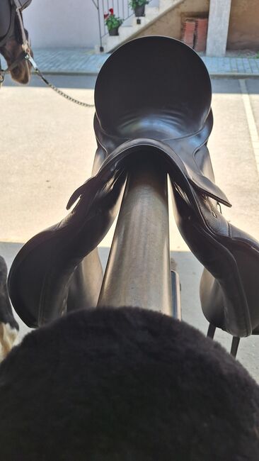 PASSIER Dressursattel schwarz, Passier Corona, Nathalie Vogt, Dressage Saddle, Aesch, Image 2