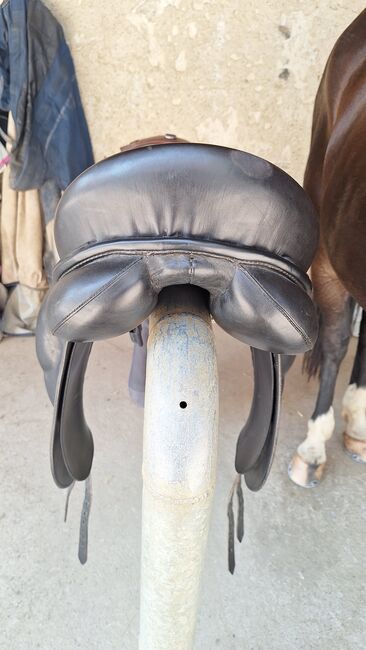 PASSIER Dressursattel schwarz, Passier Corona, Nathalie Vogt, Dressage Saddle, Aesch, Image 3