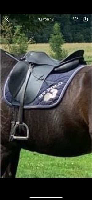 PASSIER Dressursattel Young Star 16“, TOP Zustand, Passier Young Star, Mia M, Dressage Saddle, Diessen, Image 2