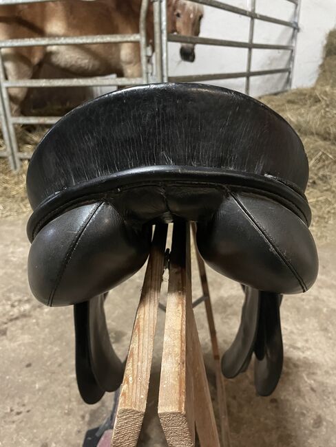 Passier Vielseitigkeits Sattel 17 Zoll - VS, Passier A Tempi, Hella, All Purpose Saddle, Hettstedt, Image 6