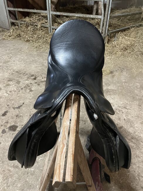 Passier Vielseitigkeits Sattel 17 Zoll - VS, Passier A Tempi, Hella, All Purpose Saddle, Hettstedt, Image 5