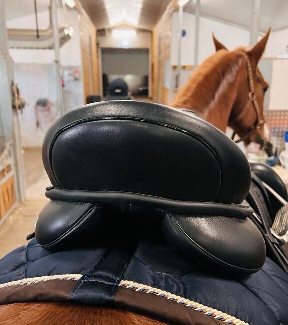 Passier Grand Prix Special Dressursattel, Passier  Grand Prix Special , Mona, Dressage Saddle, Halle, Image 9