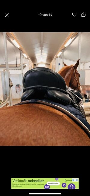 Passier Grand Prix Special Dressursattel, Passier  Grand Prix Special , Mona, Dressage Saddle, Halle, Image 10