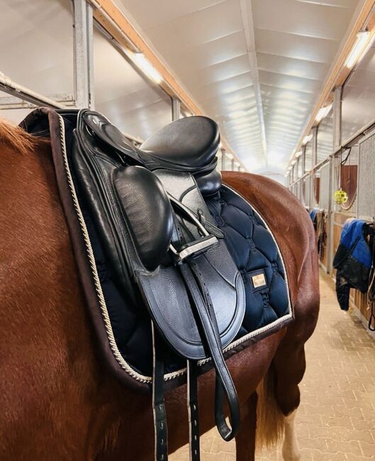 Passier Grand Prix Special Dressursattel, Passier  Grand Prix Special , Mona, Dressage Saddle, Halle, Image 4