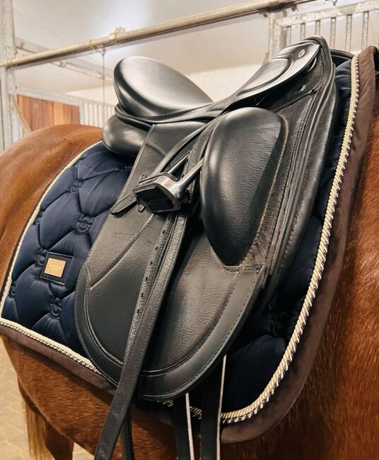 Passier Grand Prix Special Dressursattel, Passier  Grand Prix Special , Mona, Dressage Saddle, Halle, Image 8