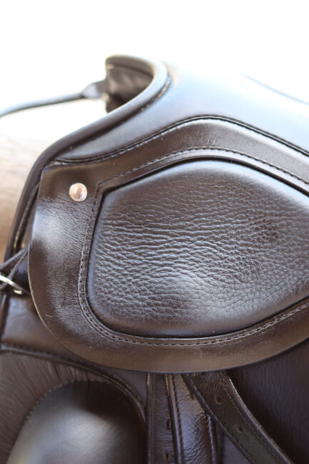 Passier Grand Prix Special Dressursattel, Passier Grand Prix Special, Joya Borgward-Cromd, Dressage Saddle, München, Image 5
