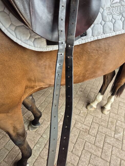 Springsattel Passier, Passier PSL S, Regina Wielogzow , Jumping Saddle, Norderstedt, Image 7
