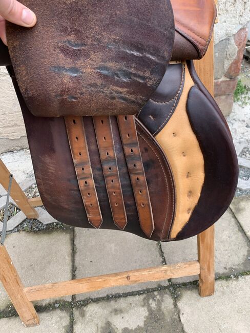 Passier Springsattel 17zoll top Zustand, Passier, Catherine Senne, Jumping Saddle, Chursdorf , Image 2