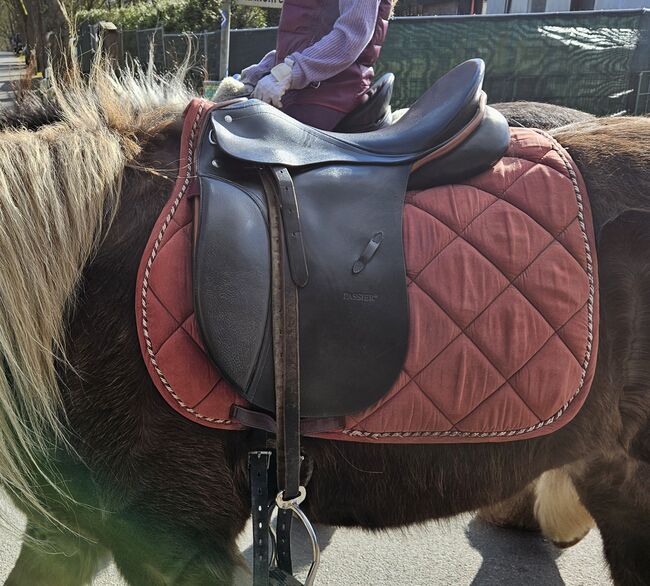 Passier young Champ 16", Passier  Young Champ , Sylwia , Dressage Saddle, Kellinghusen , Image 4