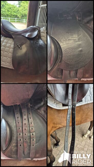 Springsattel Passier, Passier PSL S, Regina Wielogzow , Jumping Saddle, Norderstedt, Image 9