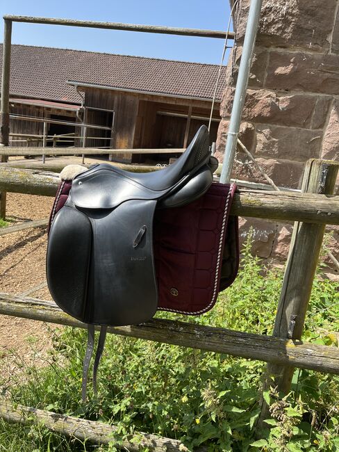 Passier Compact Comfort, Passier Compact Comfort , Jenny Steimle, For Horses, Neubulach , Image 2