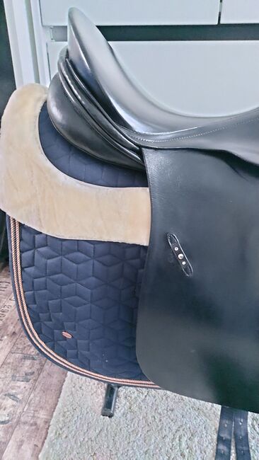 Passier Lenox 17 Zoll Dressursattel mit rosegold Strass, Passier  Lenox, Mareike K, Dressage Saddle, Marsberg, Image 6
