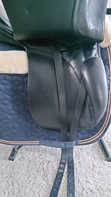 Passier Lenox 17 Zoll Dressursattel mit rosegold Strass, Passier  Lenox, Mareike K, Dressursattel, Marsberg, Abbildung 7