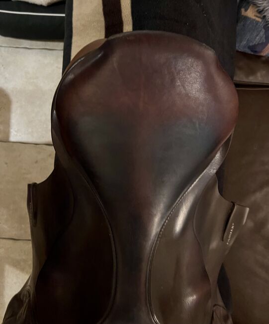 PASSIER Marcus Ehning 17,5 Havanna/ Tausch, Passier Marcus Ehning, Carola Westendarp, Jumping Saddle, Melle, Image 6