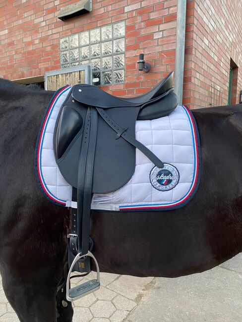 Passier Optimum Mono, Passier Optimum Mono, Kathrin, Dressage Saddle, Barsbüttel , Image 9